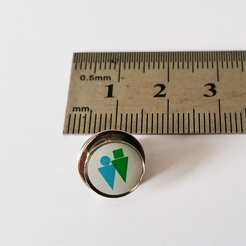 The Twins Pin