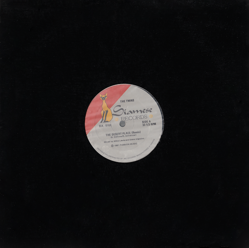 The Twins (12" Maxi Single) The Desert Place - Remix