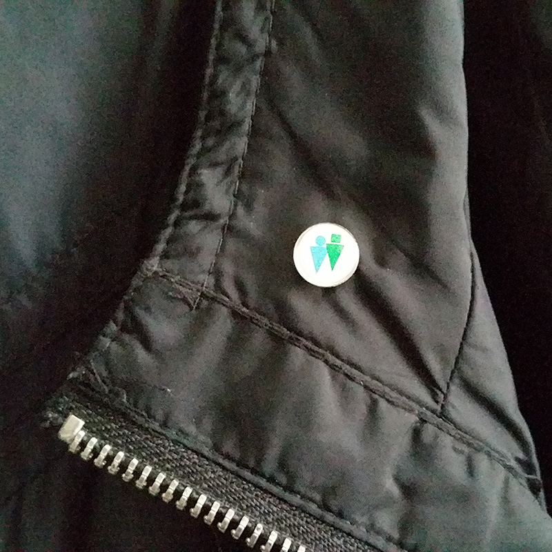 The Twins Pin